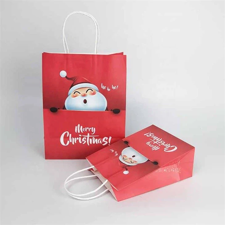 Christmas Reusable Gift Bags